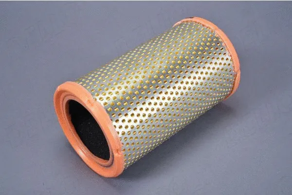 Air Filter (180019610)
