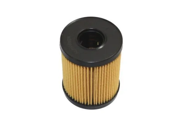 Oil Filter (180036210)