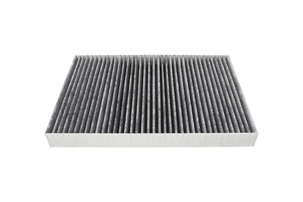Filter, cabin air (180049010)