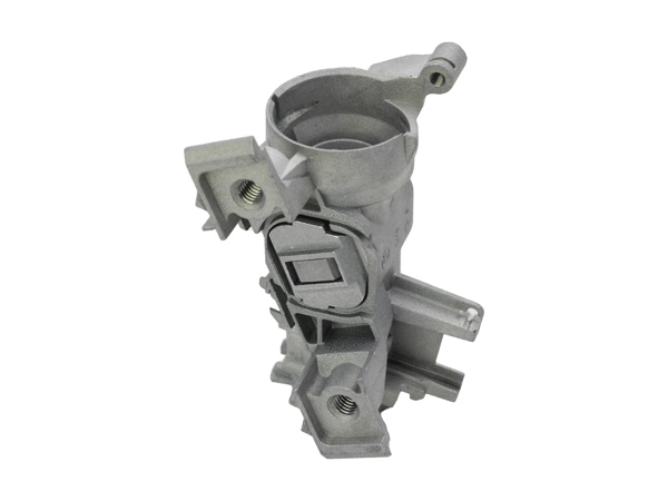 Steering Lock (210207810)