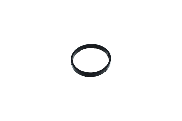 Gasket, intake manifold