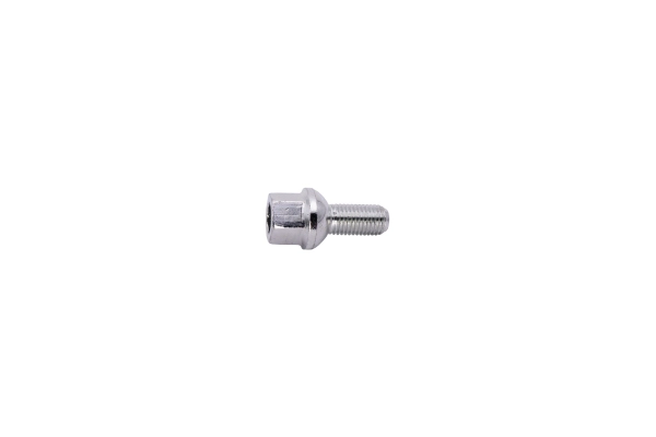 Wheel Bolt