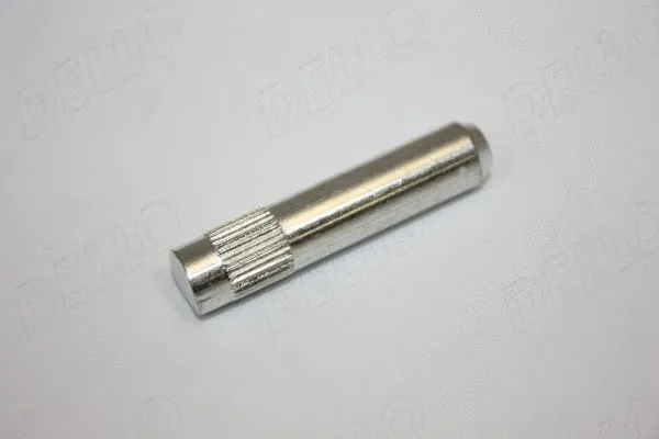 Door Hinge (100008410)