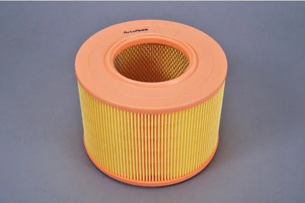 Air Filter (180018910)