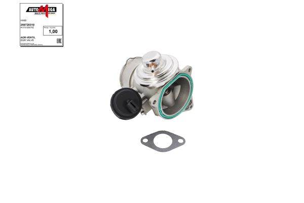 EGR Valve (250720310)