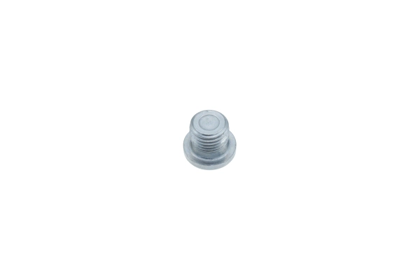 Screw Plug, oil sump