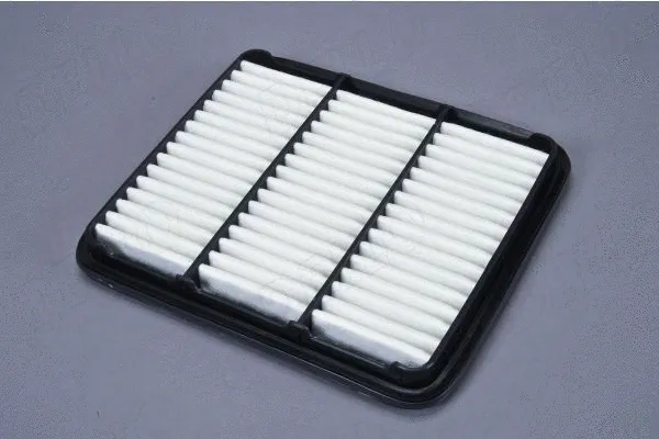 Air Filter (180070110)
