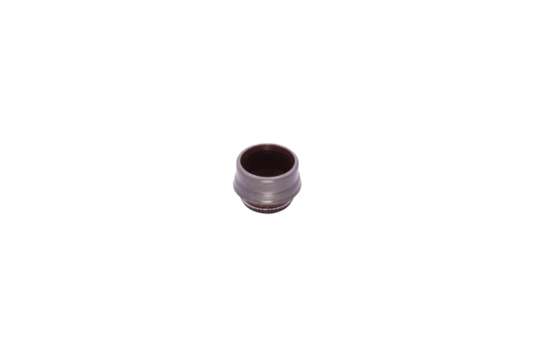 Seal Ring, valve stem