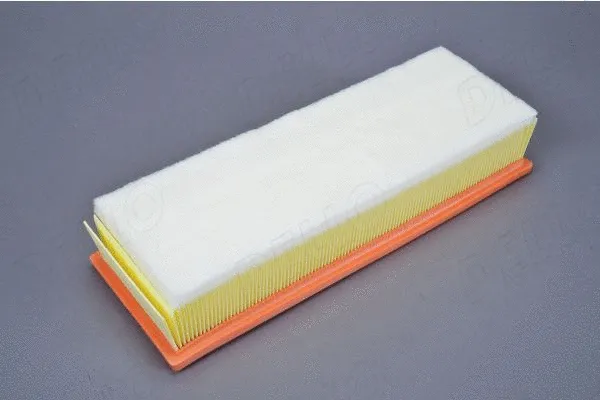 Air Filter (180029310)