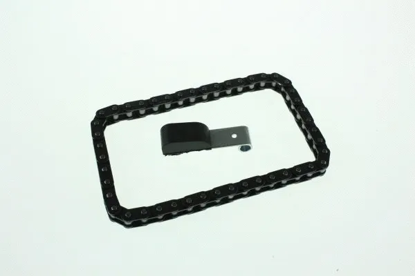 Timing Chain Kit (130008410)