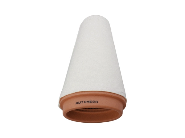 Air Filter (180067310)