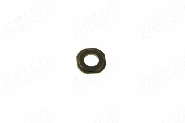 Seal Ring, injector shaft (210060710)