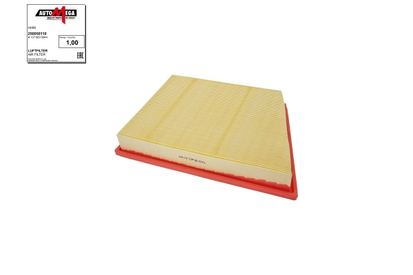Air Filter (250050110)