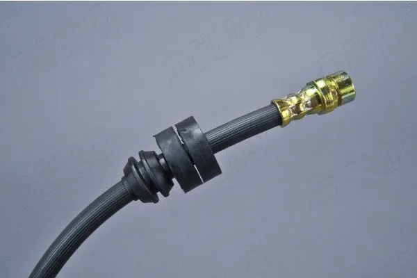 Brake Hose (120001710)