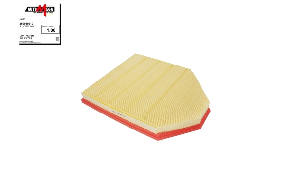 Air Filter (250050210)