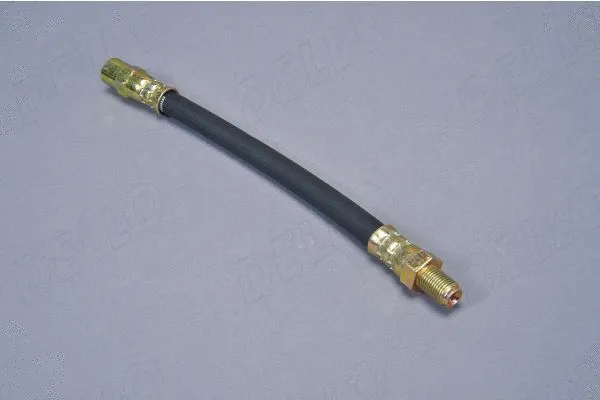 Brake Hose (120029810)