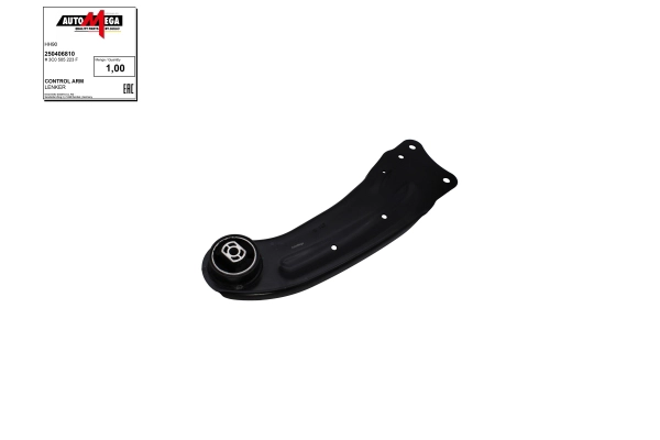 Control/Trailing Arm, wheel suspension (250406810)