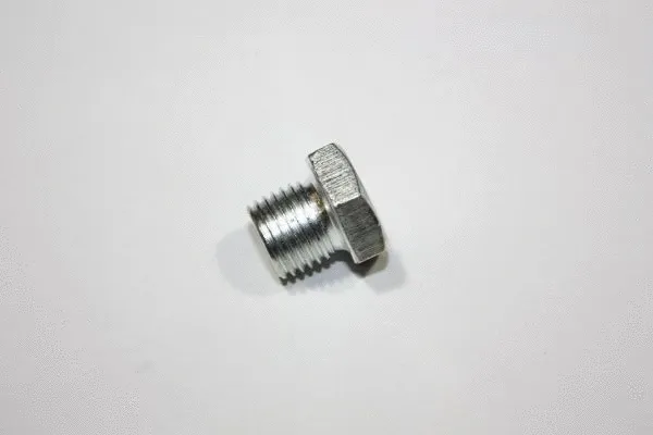Screw Plug, oil sump (130009610)