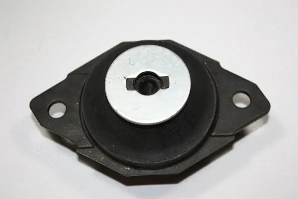 Mounting, engine (130029910)