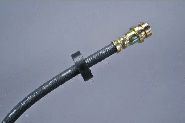 Brake Hose (120006610)