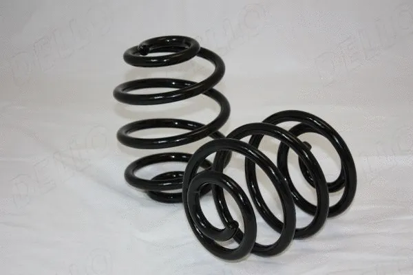 Suspension Spring (110179310)