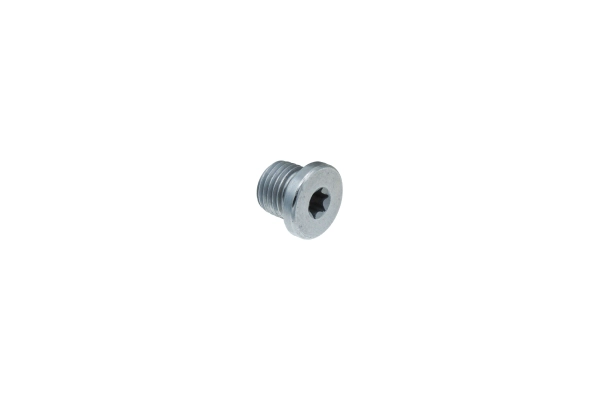 Screw Plug, oil sump