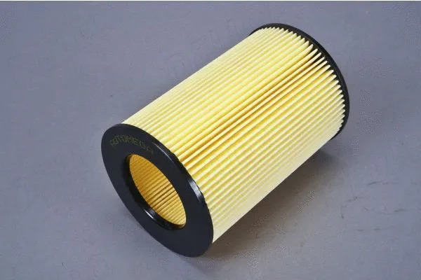 Air Filter (180075110)