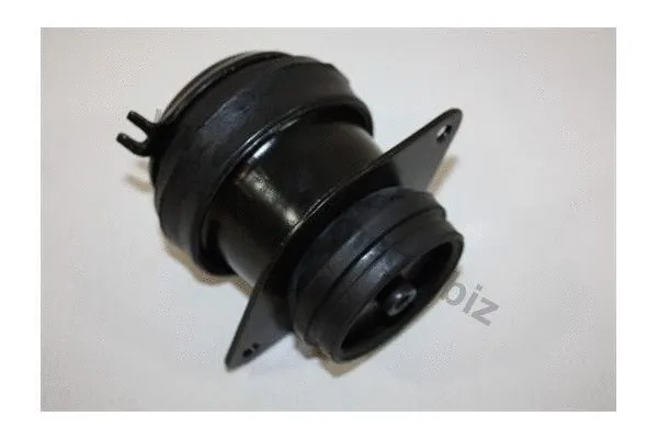 Mounting, engine (130028610)