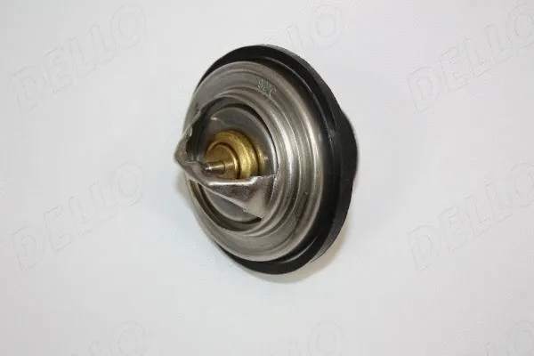 Thermostat, coolant (160047810)