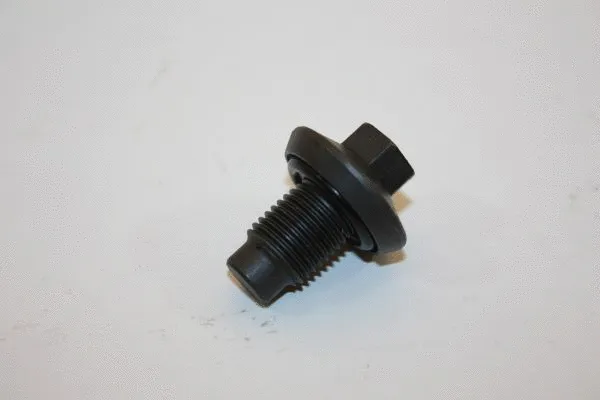 Screw Plug, oil sump (130009910)