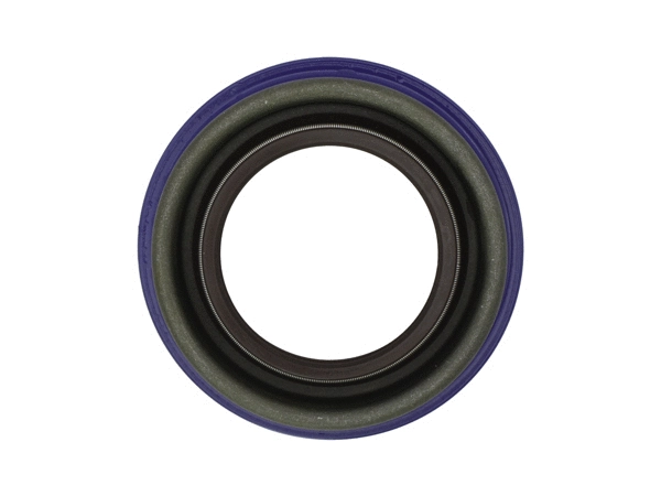 Shaft Seal, differential (190045510)
