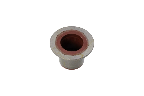 Seal Ring, valve stem
