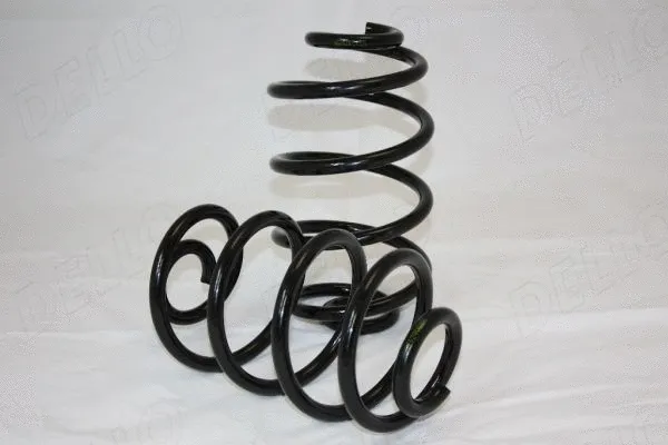 Suspension Spring (110179410)