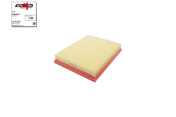 Air Filter (250050910)