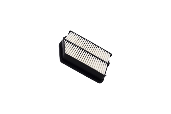 Air Filter (250051610)