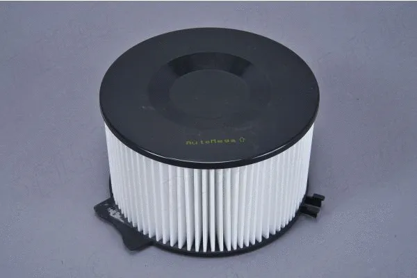 Filter, cabin air (180050610)