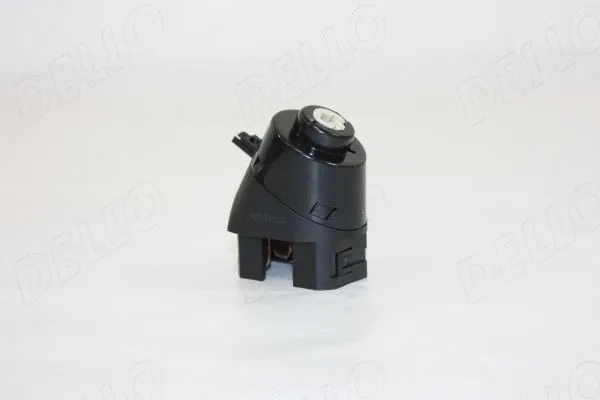 Ignition Switch (150031810)