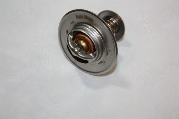 Thermostat, coolant (160028210)