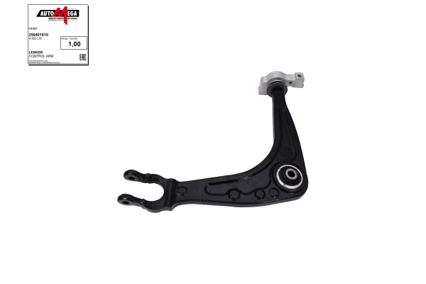 Control/Trailing Arm, wheel suspension (250401810)