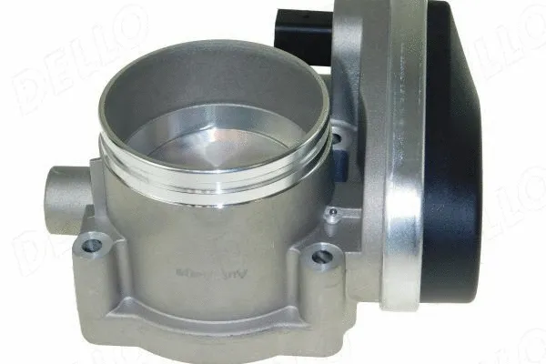 Throttle Body (210787710)