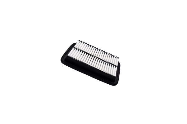 Air Filter (250051810)