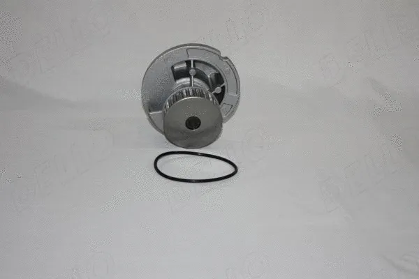 Water Pump, engine cooling (160015810)