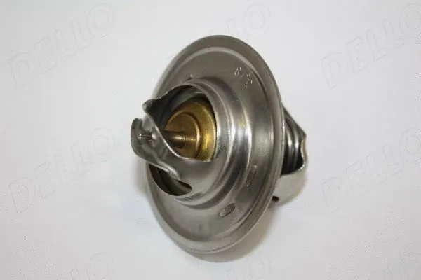 Thermostat, coolant (160047310)