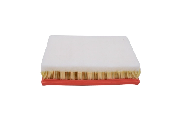 Air Filter (246786510)