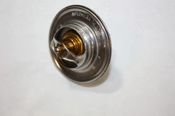 Thermostat, coolant (160072810)