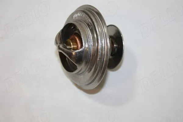 Thermostat, coolant (160032410)