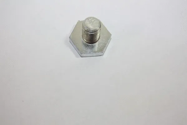 Screw Plug, oil sump