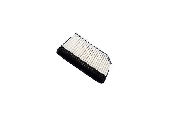 Air Filter (250052810)