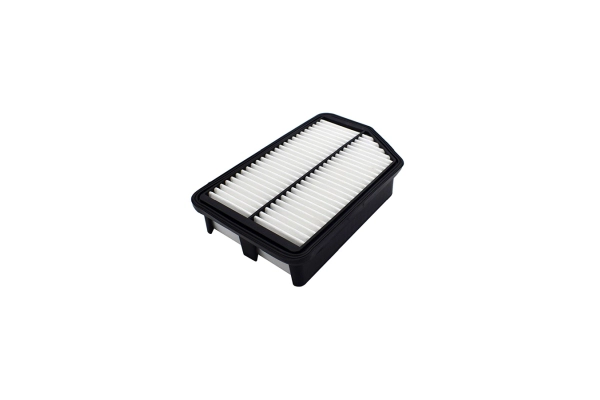 Air Filter (250052610)