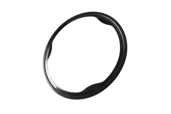Gasket, exhaust pipe (273840810)